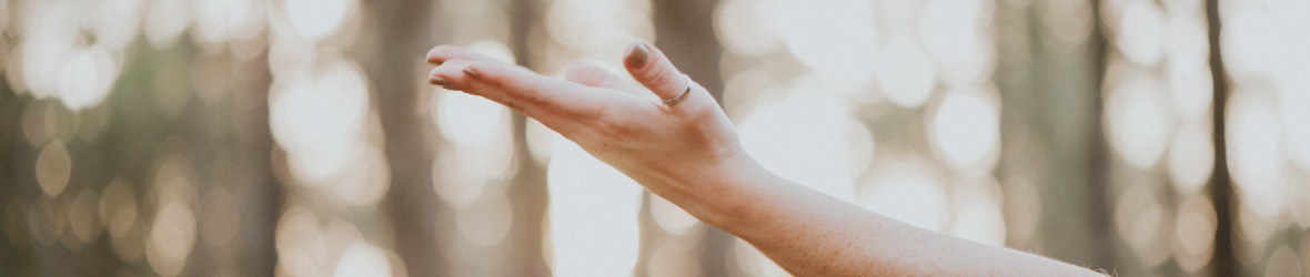 turtlelodgehealing.co.uk image: hand in the air